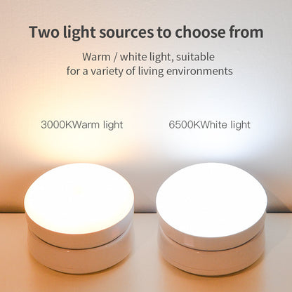 Motion Sensor Night Light